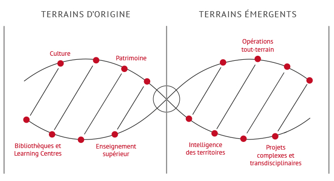 L'adn de SIX & DIX, conseil en organisation et en systèmes d'information L'adn de SIX & DIX, conseil en organisation et en systèmes d'information